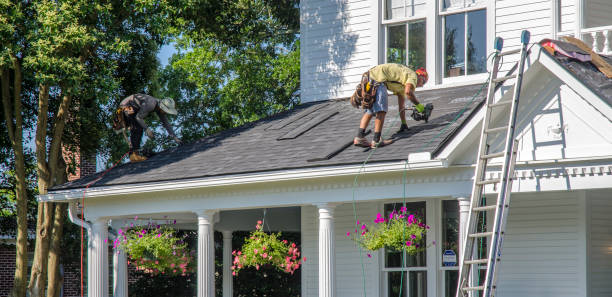 Roof Gutter Cleaning in Magnolia, TX